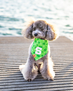 fur leaf clover dog bandana