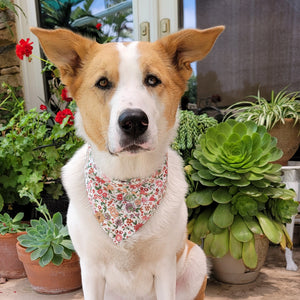 morning blossom dog bandana