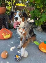 Load image into Gallery viewer, hollows eve flannel dog bandana
