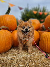 Load image into Gallery viewer, salted caramel flannel dog bandana
