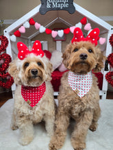 Load image into Gallery viewer, LAST CHANCE! retro hearts dog bandana
