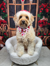 Load image into Gallery viewer, chocokisses dog bandana
