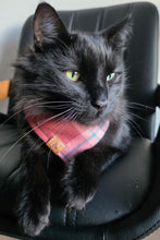 Load image into Gallery viewer, berry pop flannel dog bandana
