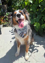Load image into Gallery viewer, seiryu dragon dog bandana

