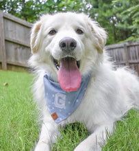Load image into Gallery viewer, oh my stars letterman dog bandana
