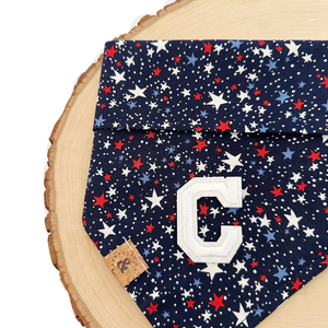 galaxy usa letterman dog bandana