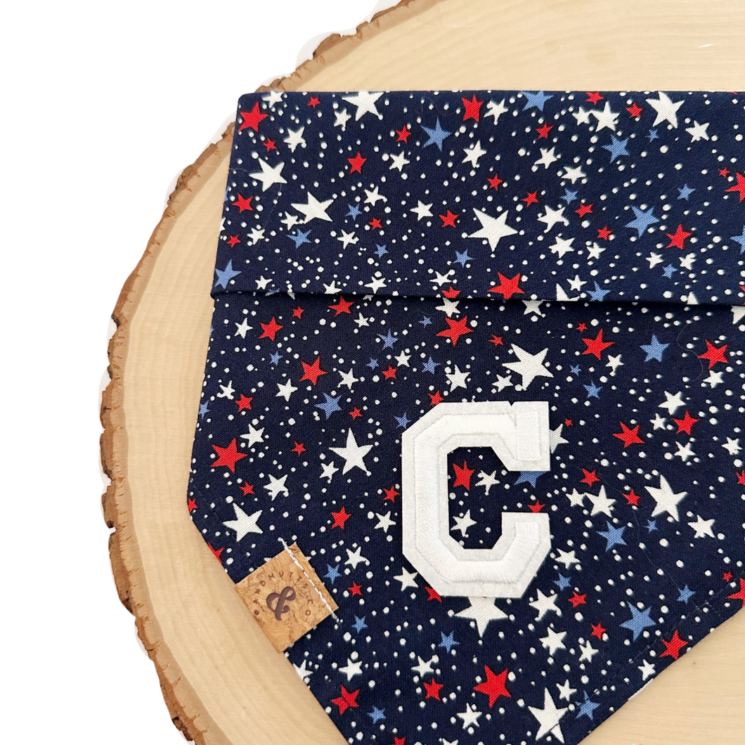 galaxy usa letterman dog bandana