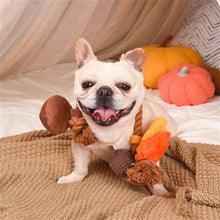 Load image into Gallery viewer, autumn rope toy with squeakers
