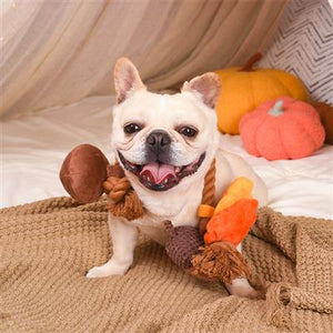 autumn rope toy with squeakers