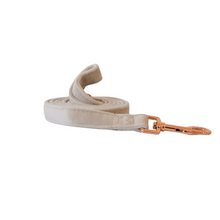 Load image into Gallery viewer, pearl grey velvet walk set bundle with harness - $106 value!
