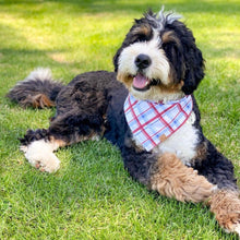 Load image into Gallery viewer, patriotic plaid dog bandana
