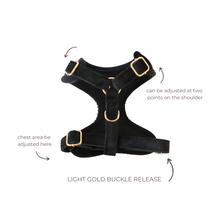 Load image into Gallery viewer, tuxedo black velvet adjustable harness
