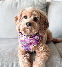 Load image into Gallery viewer, tricks for treats dog bandana
