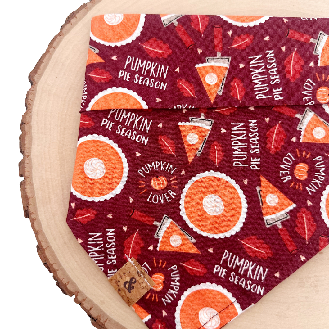 pumpkin season dog bandana