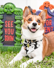 Load image into Gallery viewer, friendly ghosts dog bandana (glow in the dark!)
