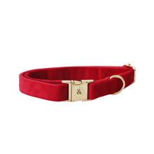Load image into Gallery viewer, winterberry red velvet walk set bundle with harness - $106 value!
