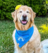 Load image into Gallery viewer, love always wins dog bandana
