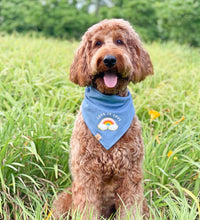 Load image into Gallery viewer, love is love dog bandana
