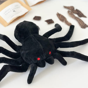 spencer the spider nosework toy