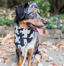 Load image into Gallery viewer, friendly ghosts dog bandana (glow in the dark!)
