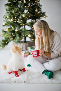 feliz navidog mug