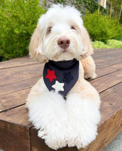 Load image into Gallery viewer, star spangled &#39;dana dog bandana
