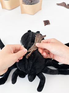 spencer the spider nosework toy