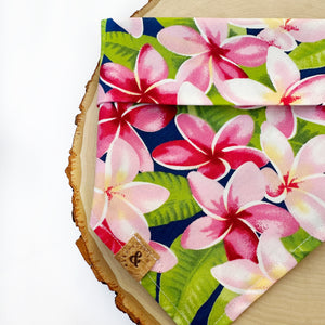 love of plumeria dog bandana