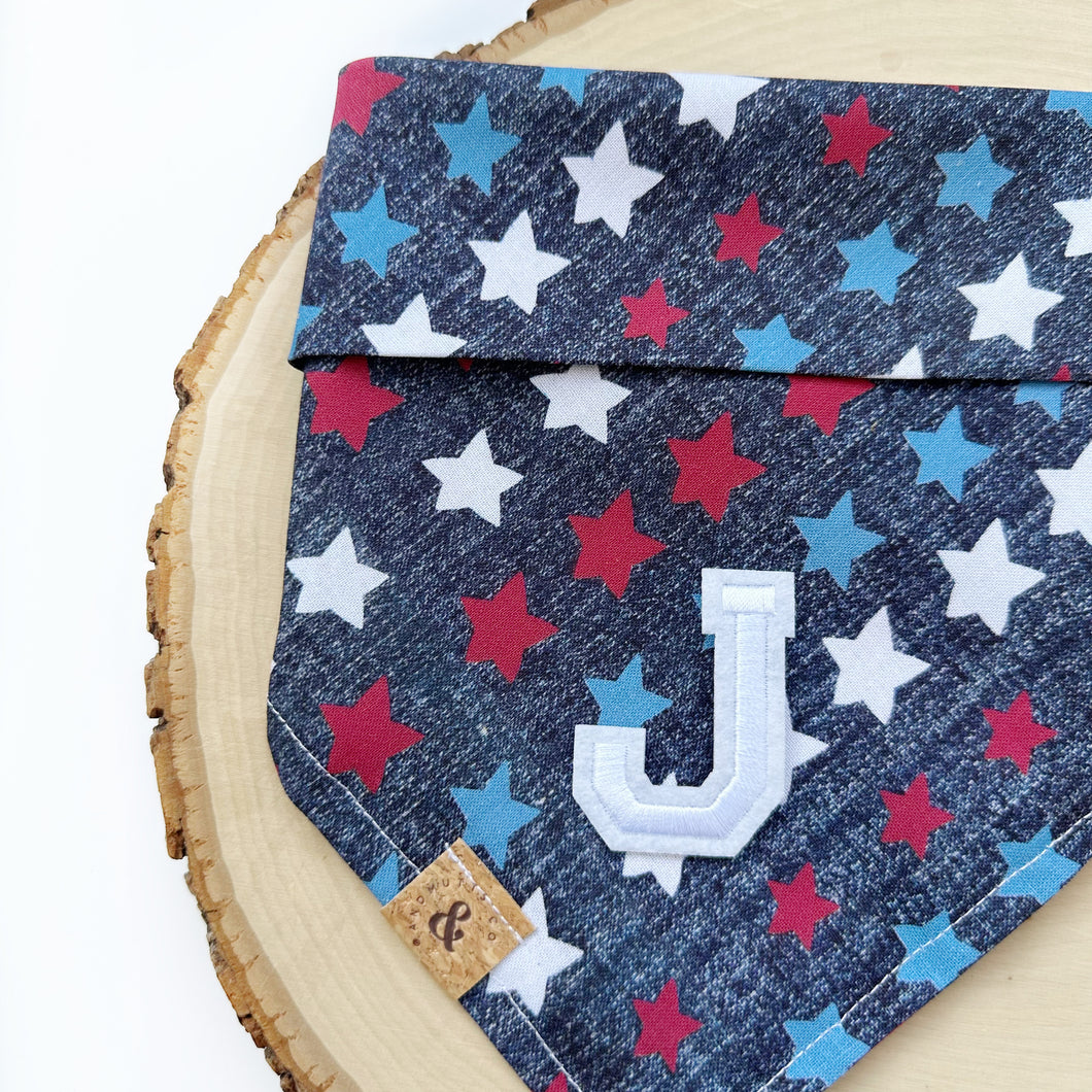 stargazer letterman dog bandana