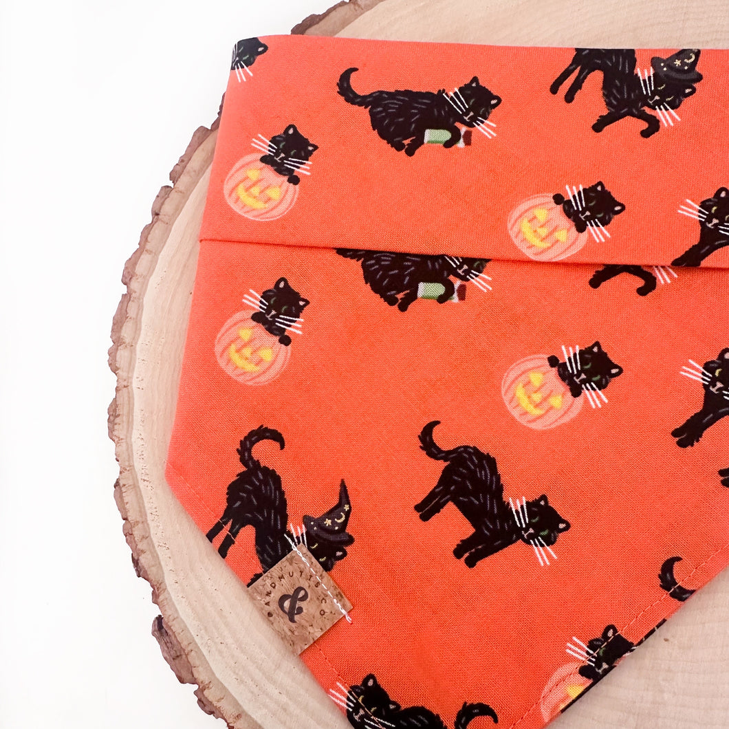 mystic kitties dog bandana