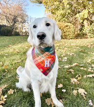 Load image into Gallery viewer, midnight amber letterman dog bandana
