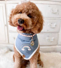 Load image into Gallery viewer, love always wins dog bandana
