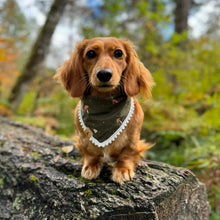 Load image into Gallery viewer, holy shiitake dog bandana
