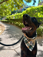 Load image into Gallery viewer, caramel apple flannel letterman dog bandana
