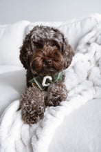 Load image into Gallery viewer, celtic plaid dog bandana
