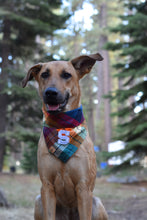Load image into Gallery viewer, midnight amber letterman dog bandana
