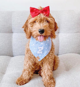 oh my stars letterman dog bandana