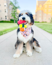 Load image into Gallery viewer, osaka delights dog bandana
