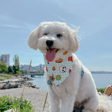 Load image into Gallery viewer, bento barkers blue dog bandana
