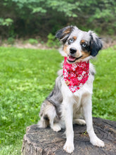 Load image into Gallery viewer, LNY cherry blossom dog bandana
