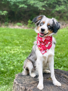 LNY cherry blossom dog bandana