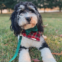 Load image into Gallery viewer, cardinal plaid dog bandana
