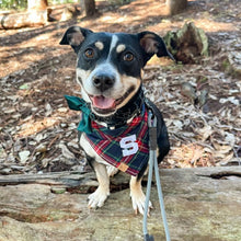 Load image into Gallery viewer, blitzen&#39;s plaid letterman dog bandana
