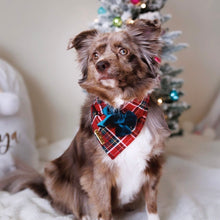 Load image into Gallery viewer, cardinal plaid dog bandana
