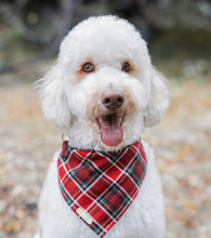 Load image into Gallery viewer, cardinal plaid dog bandana
