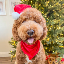 Load image into Gallery viewer, winterberry red velvet dog bandana
