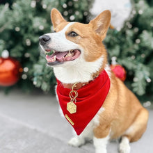 Load image into Gallery viewer, winterberry red velvet dog bandana
