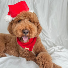Load image into Gallery viewer, winterberry red velvet dog bandana
