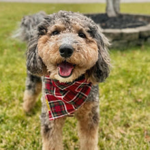 Load image into Gallery viewer, cardinal plaid dog bandana
