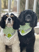 Load image into Gallery viewer, LAST CHANCE: green apple gingham dog bandana (S/M)
